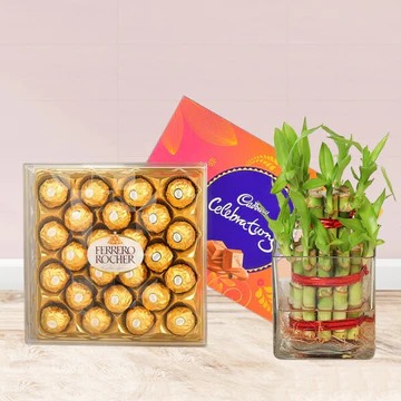 Bamboo With Celebration N Rocher